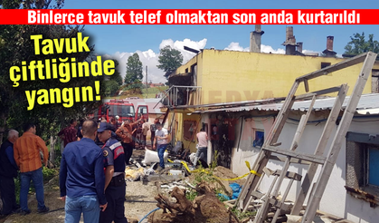 Tavuk çiftliğinde yangın!