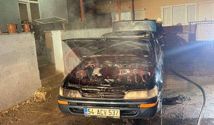 Park halindeyken alev aldı!