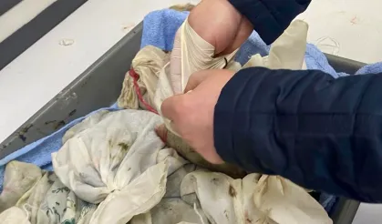 Bu da kaçak sülük operasyonu!