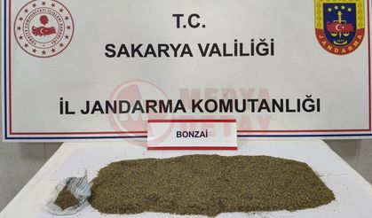 Jandarmadan uyuşturucu operasyonu: 1 tutuklama