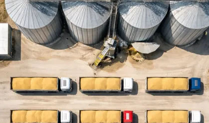 TMO'dan buğday satışı!