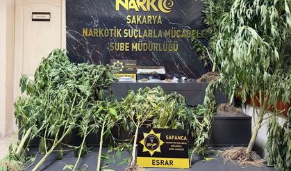 Sapanca'da uyuşturucu operasyonu! 2 gözaltı