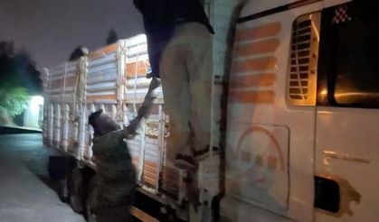 AKYAZI GİŞELERİNDE BELGESİZ HAYVAN SEVKİYATI!