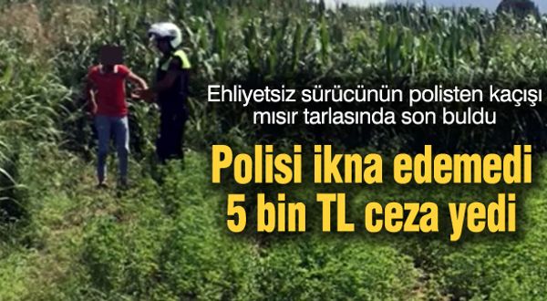 Ehliyetsiz sürücünün polisten kaçışı mısır tarlasında son buldu