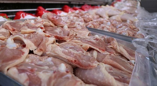 Tavuk eti üretimi yüzde 3 arttı