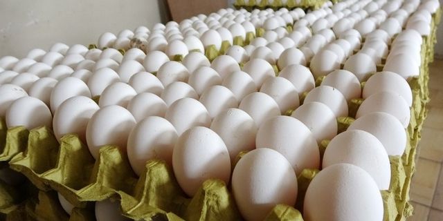 Yumurta fiyatları tırmanışta