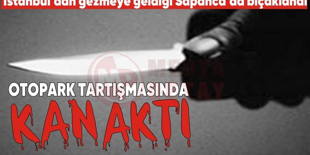 İstanbul’dan gezmeye geldiği Sapanca’da bıçaklandı!
