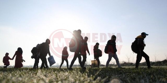 119 bin 817 göçmen  sınır dışı edildi