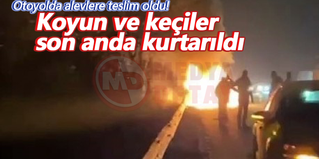 Otoyolda alevlere teslim oldu!