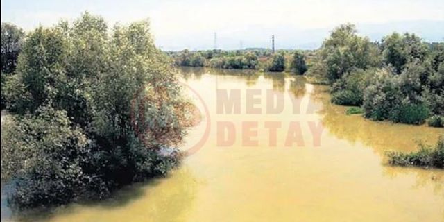 Sakarya Nehri’nden mi su çekilecek!