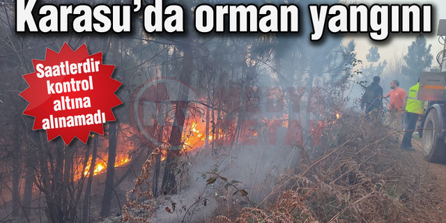 Karasu'da orman yangını!