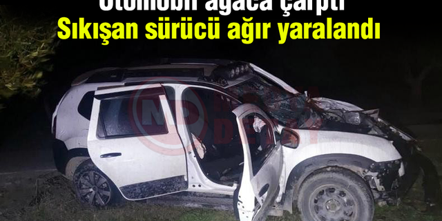 Otomobil ağaca çarptı! Sıkışan sürücü ağır yaralandı
