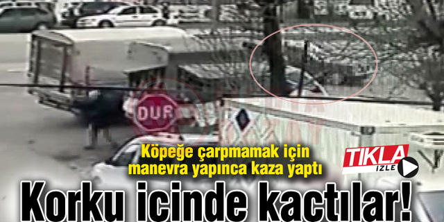 Köpeğe çarpmamak için manevra yapınca kaza yaptı
