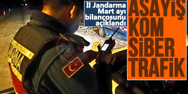 İl Jandarma Mart ayı bilançosunu açıklandı