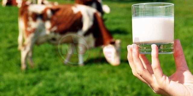 Çiğ süt üretimi 2022 yılında yüzde 7,1 azaldı