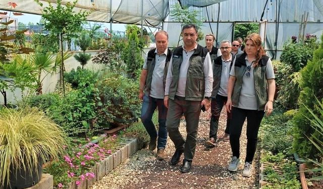 Fidan üretim ve bakım  çalışmaları devam ediyor