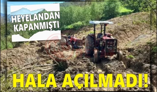 Heyelanın kapattığı yol 5 aydır açılmayı bekliyor!