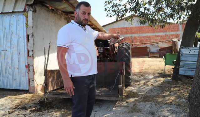 Hayvanları, sokak köpekleri tarafından telef edilen mahalleli isyan etti