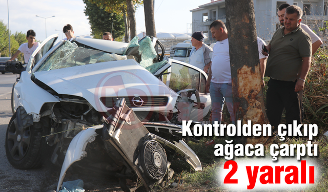 Kontrolden çıkıp ağaca çarptı! 2 yaralı
