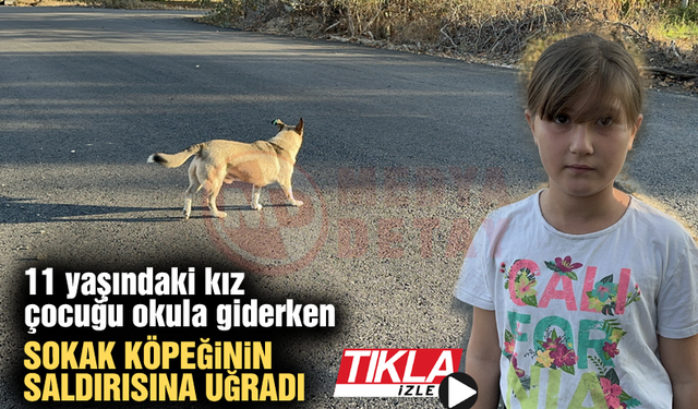 11 yaşındaki kız çocuğu okula giderken sokak köpeğinin saldırısına uğradı