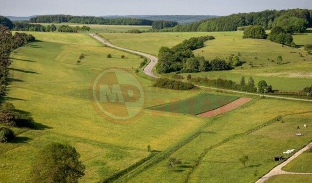 Erenler’de üç tarla satışa çıkıyor