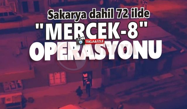 "Mercek-8" operasyonunda bin 335 silah ele geçirildi