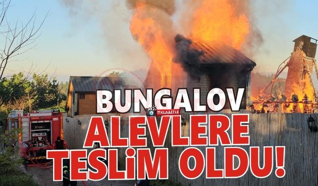 Alevlere teslim olan bungalov kül oldu