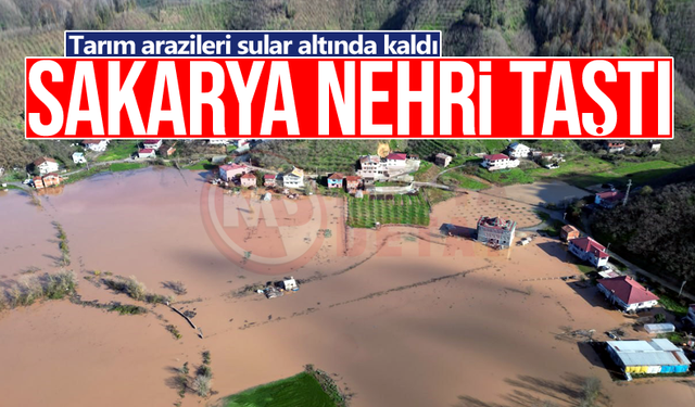 Yağış nedeniyle Sakarya Nehri taştı!