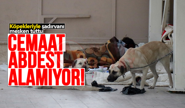 Köpekleriyle şadırvanı mesken tuttu!