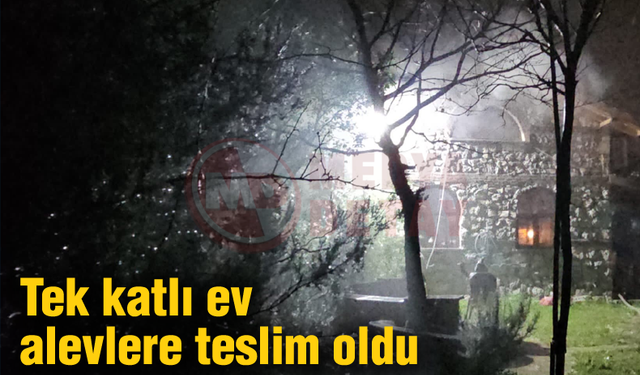 Tek katlı ev alevlere teslim oldu