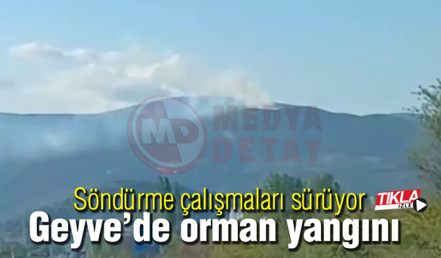 Geyve'de orman yangını