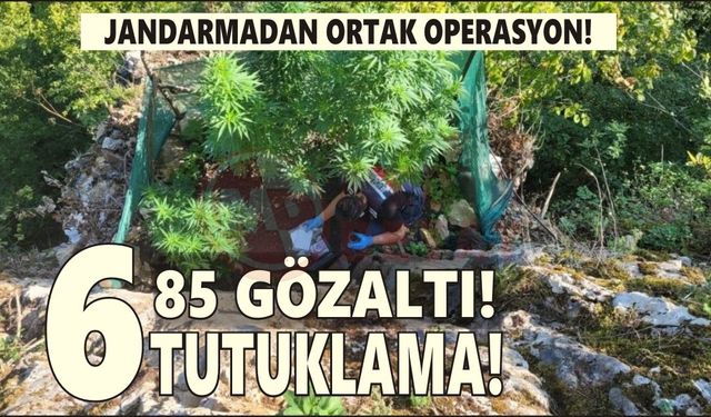 Sakarya’da jandarmadan uyuşturucu operasyonları