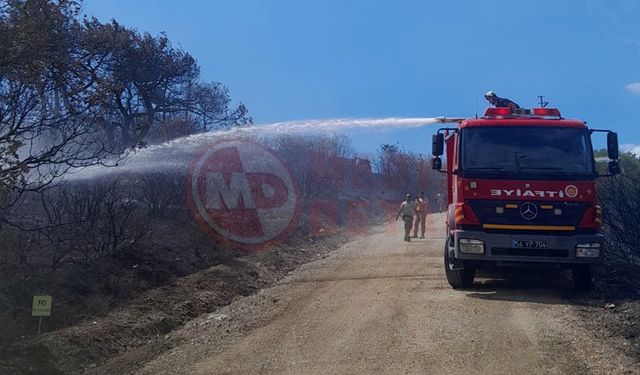 Büyükşehir'den yangına müdahale açıklaması