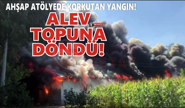 Ahşap atölyesi alev topuna döndü