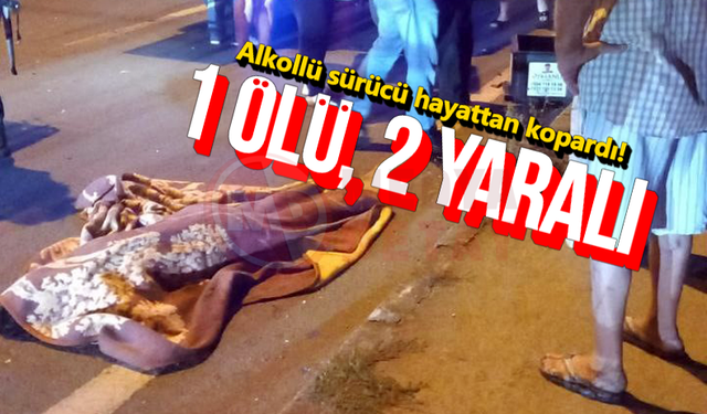 Alkollü sürücü hayattan kopardı: 1 ölü, 2 yaralı