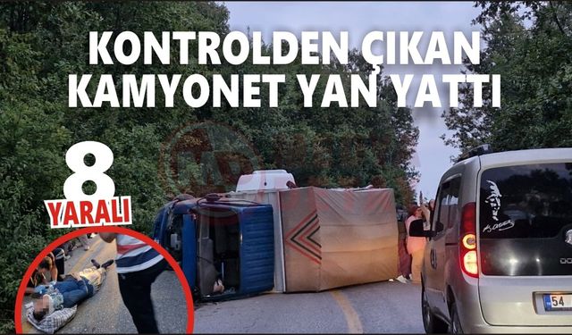 Kontrolden çıkan kamyonet yan yattı