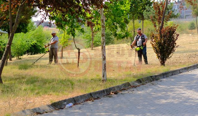 İstiklal Mahallesi’nde çevre düzenleme çalışmaları