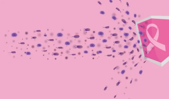 'Meme kanseriyle mücadeleye destek' hibe başvurularında son gün 22 Eylül