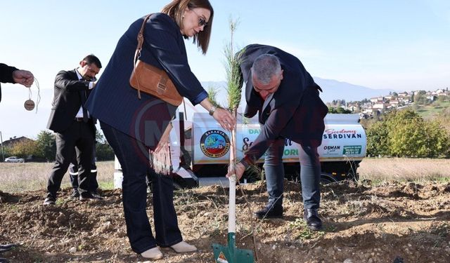 Milli Ağaçlandırma Günü için fidanlar toprakla buluştu