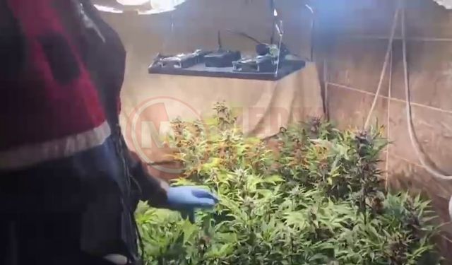 Evini uyuşturucu serasına çevirmiş!