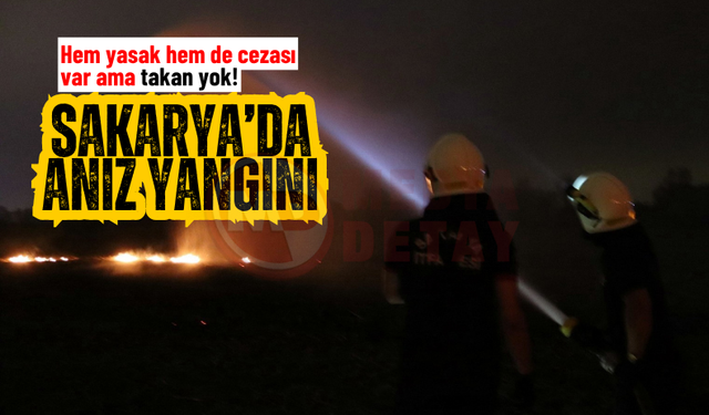 Sakarya'da bir anız yangını daha!