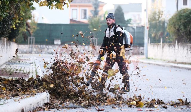 Serdivan’da sonbahar temizliği