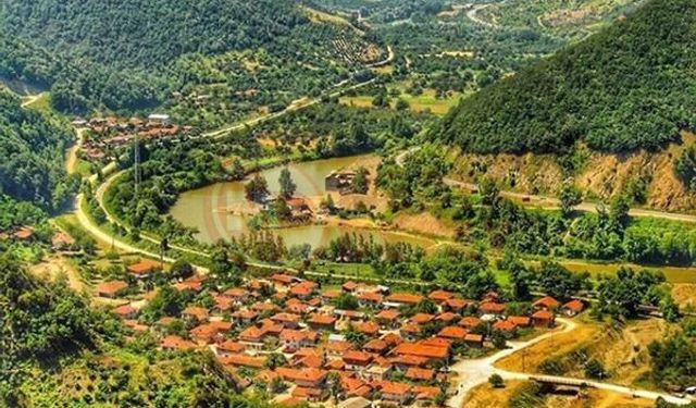 Geyve bağları açık artırmada!