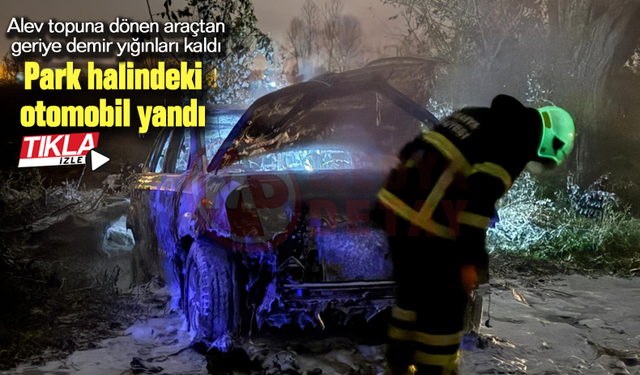 Park halindeki otomobil yandı