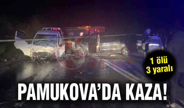 Pamukova'da kaza! 1 ölü, 3 yaralı