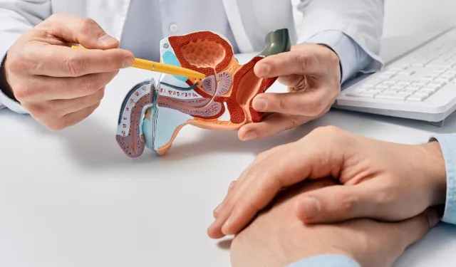 Prostat büyümesi erken önlemle kontrol altına alınabiliyor