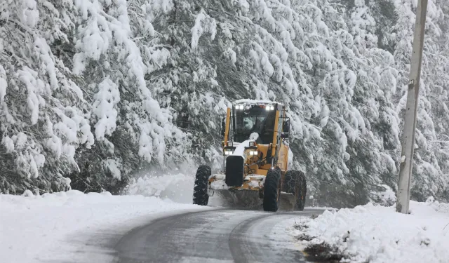 Sakarya'da kar alarmı!