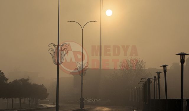 Sakarya güne sisle başladı