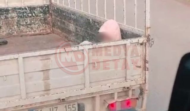 Soğuk havada yürek sızlatan yolculuk