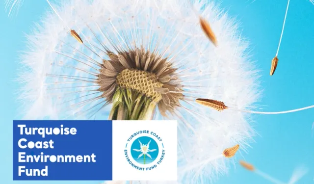 TCEF 2026 Hibe Programı'nda Türkiye'nin güney ve batı kıyılarına destek!